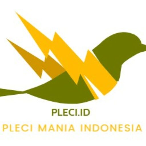 Pleci.ORG